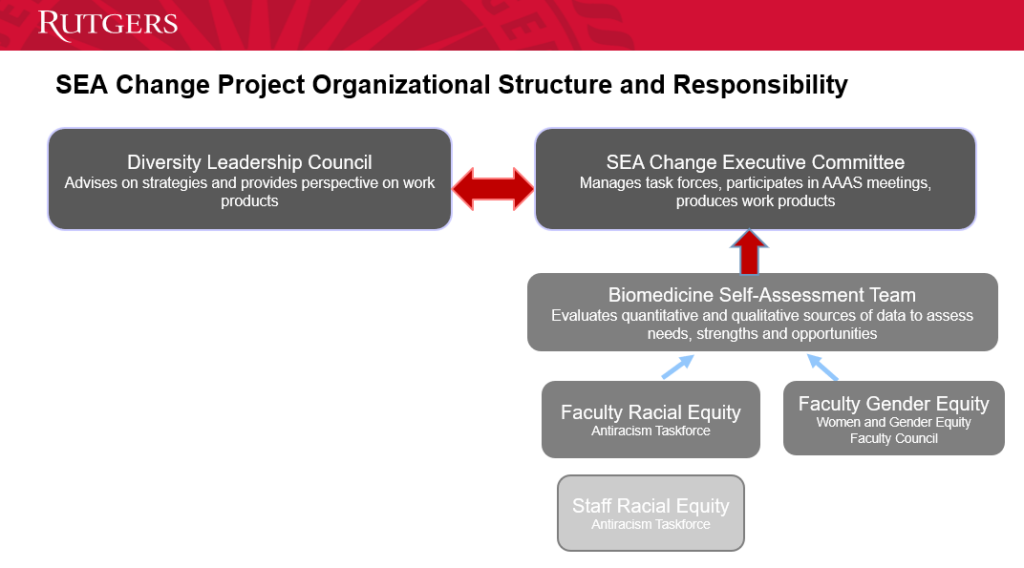 SEA Change Project Organizational Structure