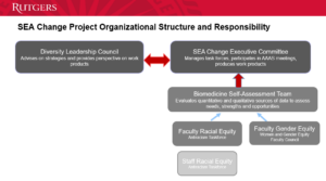 SEA Change Project Organizational Structure